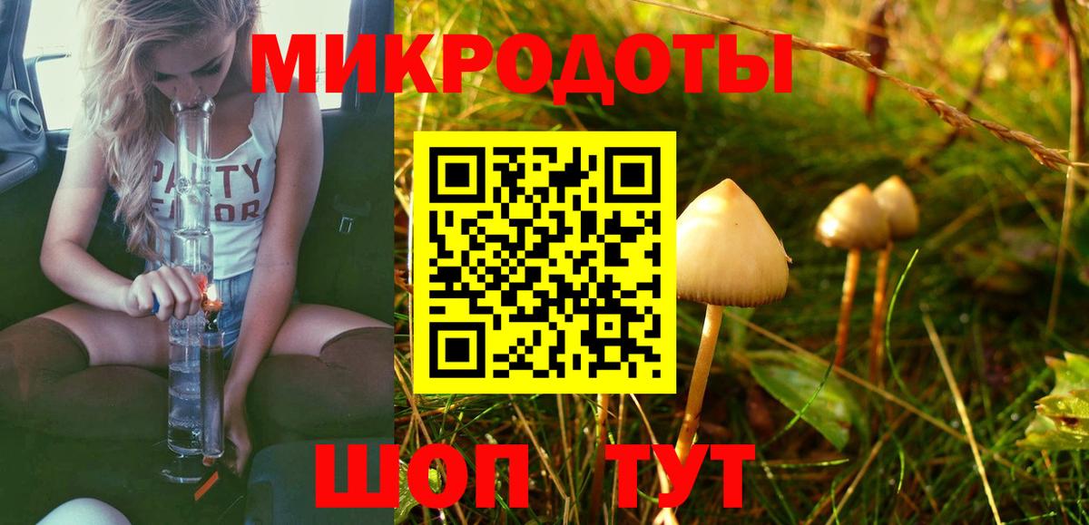 Южно-Сахалинск  Галлюциногенные грибы прущие грибы  Вход с VPN  Псилоцибиновые грибы Psilocybine cubensis 